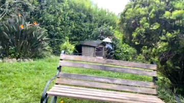 75t  13-11-2021 video OhMiBod